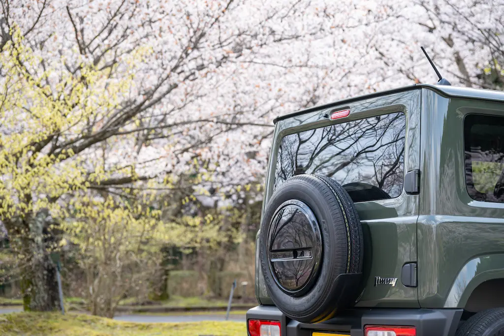 青土ダム 桜｜青土ダムブルーリバーパーク駐車場の桜並木（満開時の全景）