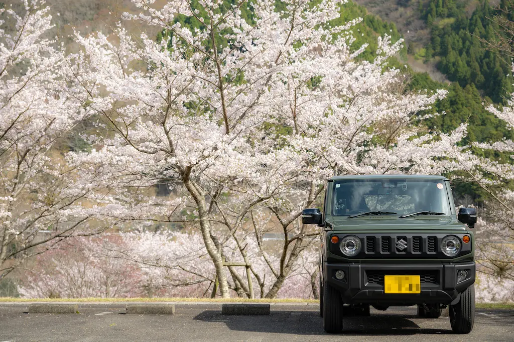 青土ダム 桜｜青土ダムブルーリバーパーク駐車場に広がる桜並木とジムニーJB64W